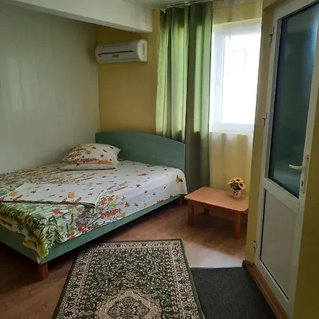 Guest house Vila Romina *